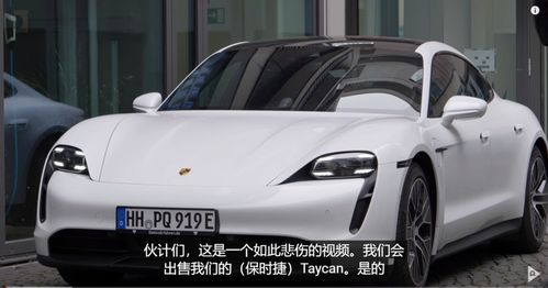 德国汽车租赁市场青睐特斯拉 电动汽车领域的领跑者